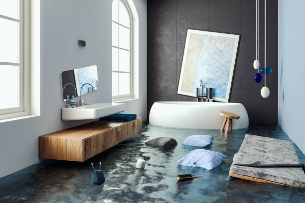 Best Water damage restoration process  in Capac, MI