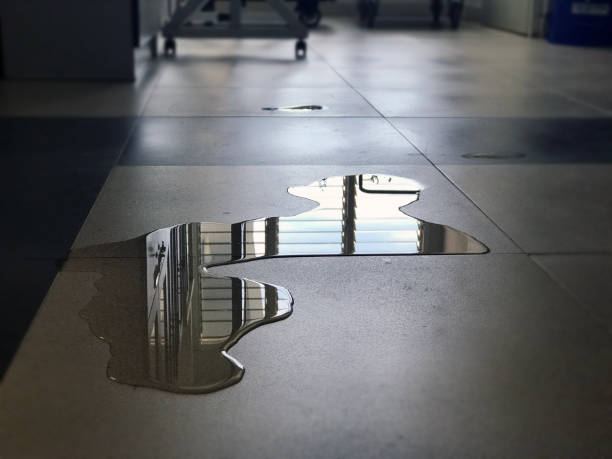 Best Water damage repair service  in Capac, MI