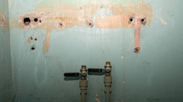 Best Water damage restoration near me  in Capac, MI