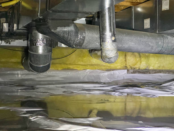 Best Water damage restoration cost  in Capac, MI