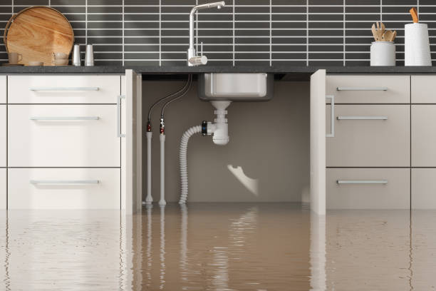 Best Emergency water damage restoration  in Capac, MI