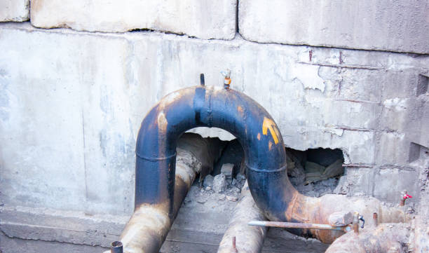 Best Flood damage cleanup  in Capac, MI