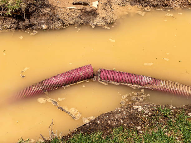 Best Basement water damage restoration  in Capac, MI