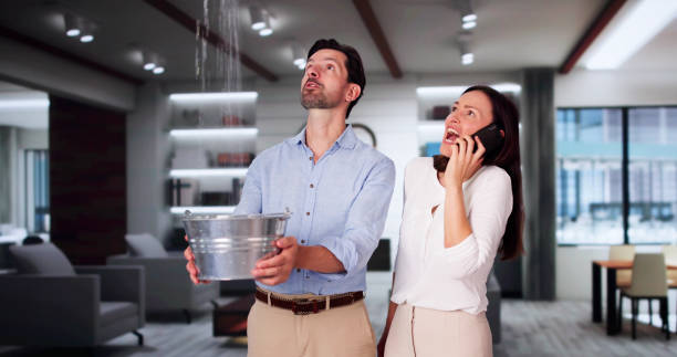 Best 24/7 water damage repair  in Capac, MI